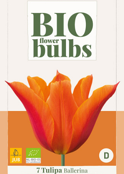 X   7 TULIPA BALLERINA - BIO 11/+