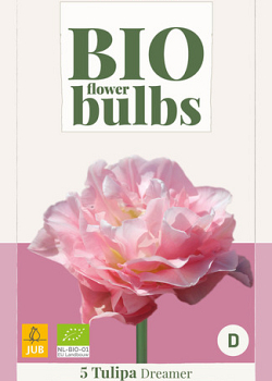 X   5 TULIPA DREAMER - BIO 11/+