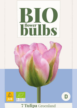 X   7 TULIPA GROENLAND - BIO 11/+