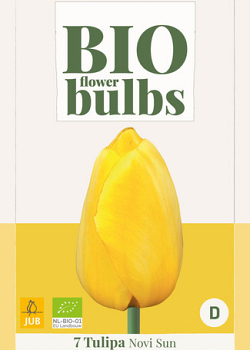 X   7 TULIPA NOVI SUN - BIO 11/+