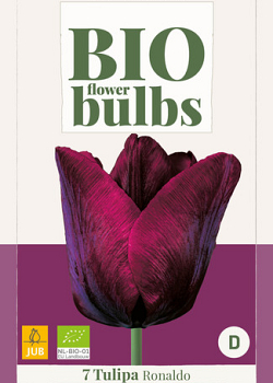 X   7 TULIPA RONALDO - BIO 11/+