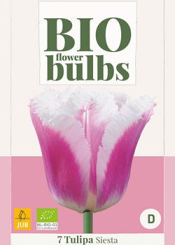 X   7 TULIPA SIESTA - BIO 11/+