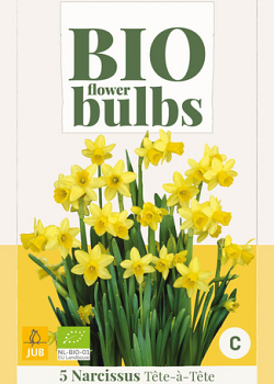 X   5 NARCISSUS TETE-A-TETE - BIO 10/12