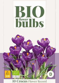 X 10 CROCUS FLOWER RECORD - BIO 7/+