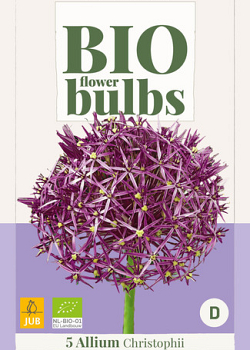 X   5 ALLIUM CHRISTOPHII - BIO 10/12