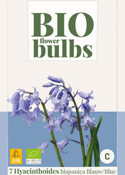X   7 HYACINTHOIDES HISPANICA BLAUW - BIO 7/+