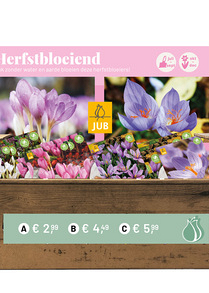 OPZETDOOS 4 X 15 NAJAARSBLOEIERS I