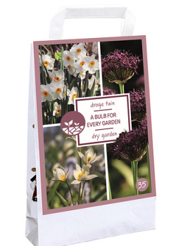X 1 TAS 35 BULBS FOR EVERY GARDEN - DRY GARDEN I