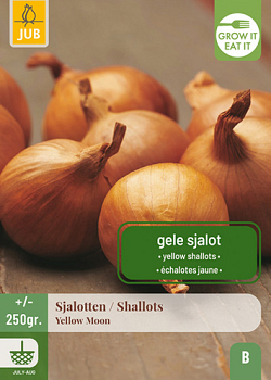X 250 gr. SJALOTTEN YELLOW MOON 7/14