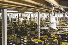 Production processes