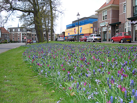 Mixture Eikenhorst