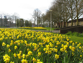 Mixture Eindhoven