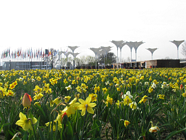 Mixture Floriade