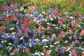 Mixture Huizen
