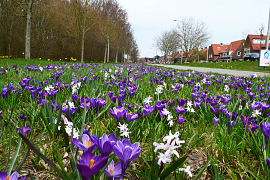 Mixture Leerdam