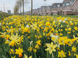 Mixture Middelburg