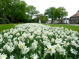 Mixture Zwolle
