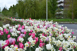 Massive spring