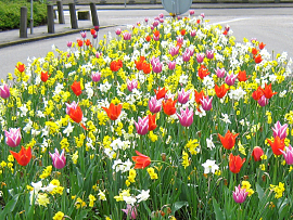 Mixture Apeldoorn