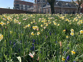 Mixture Kopenhagen