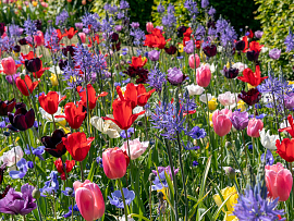 Bold Colours