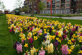 Mixture Emmen