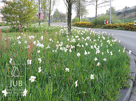 Zuidplas