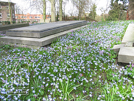 Utrecht Daalwijk