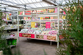 Tafelpresentatie