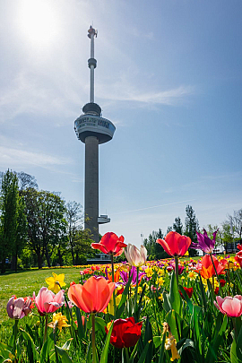 Euromast Rotterdam