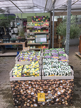 Europallet presentatie