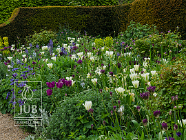 Arundel Castle
