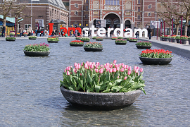 I Amsterdam schalen in water