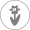 bloeiperiode front grijs