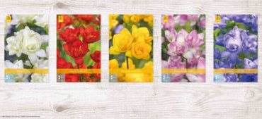 X  750 FREESIA DUBBEL VJ