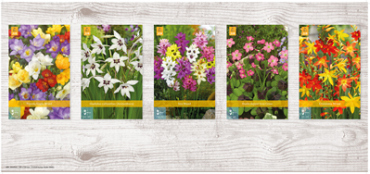 X  750 DIVERSE BLOEMBOLLEN KLEIN