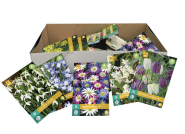 X ACTIEDOOS BIJGOED -VJ