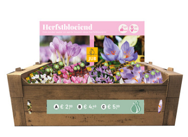 OPZETDOOS 4 X 15 NAJAARSBLOEIERS