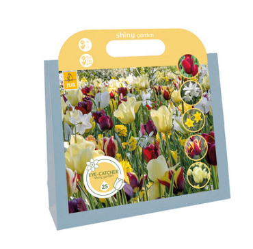 X 1 TAS 25 EYE-CATCHERS - SHINY GARDEN