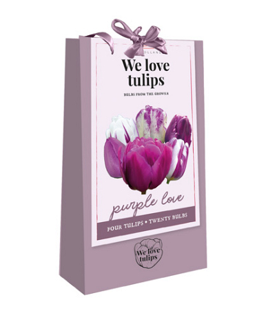 X 1 TAS 20 TULIPA 'WE LOVE TULIPS' PURPLE LOVE