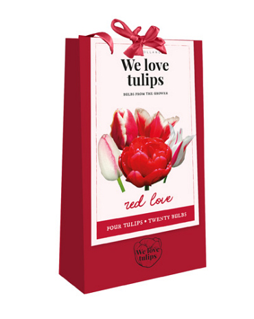 X 1 TAS 20 TULIPA - WE LOVE TULIPS - RED LOVE