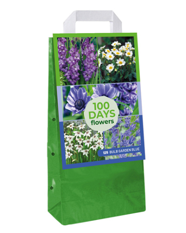 X 1 TAS 125 BULB GARDEN BLUE VJ