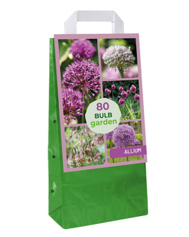X  1 TAS 80 BULB GARDEN ALLIUM