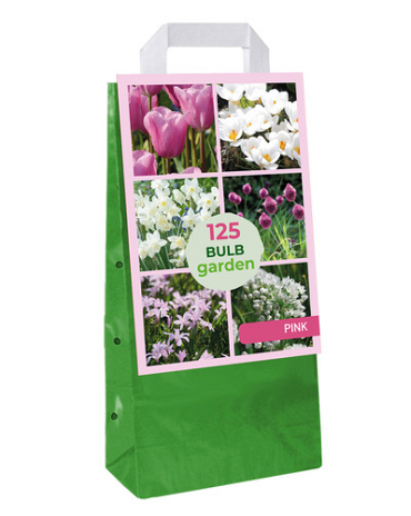 X 1 TAS 125 BULB GARDEN PINK