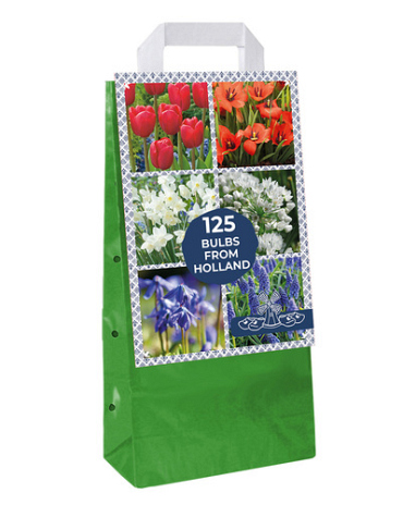 X 1 TAS 125 BULBS FROM HOLLAND