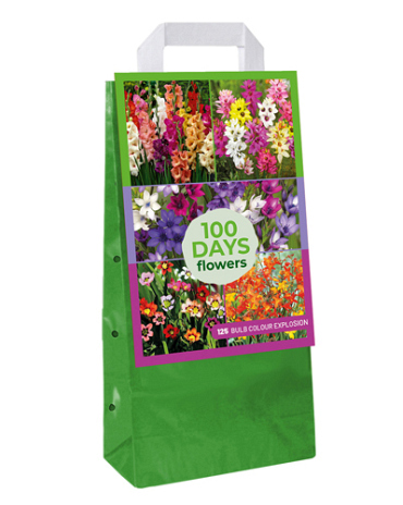 X 1 TAS 125 BULB GARDEN COLOUR EXPLOSION VJ