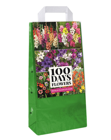 X 1 TAS 125 BULB GARDEN COLOUR EXPLOSION VJ