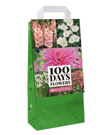 X 1 TAS 125 BULB GARDEN PINK VJ
