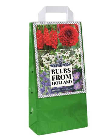 X 1 TAS 125 BULBS FROM HOLLAND VJ