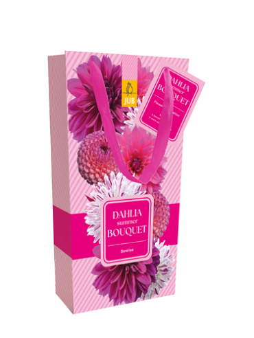 X 1 TAS 4 DAHLIA SUMMER BOUQUET - SUNRISE